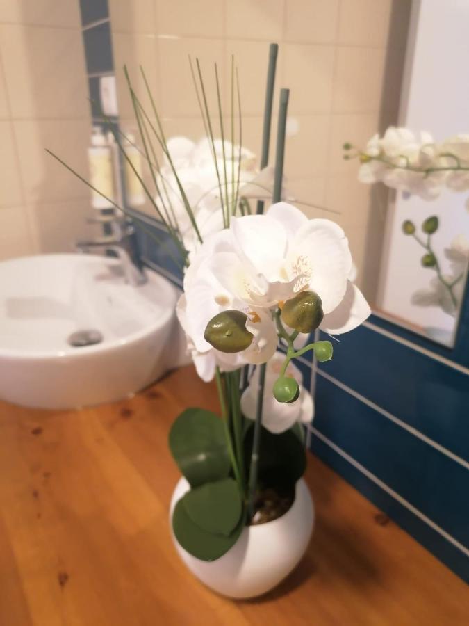 Apartamento Graciosa - Sta Catarina Place Πόντα Ντελγκάντα Εξωτερικό φωτογραφία